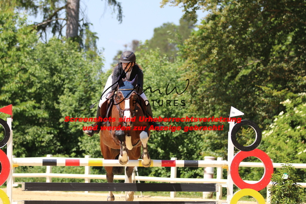 IMG_2375 | lmwpictures - Realisiert mit Pictrs.com