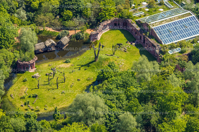 Gelsenkirchen230511269 | Luftbild, ZOOM Erlebniswelt Zoo, Affengehege, Bismarck, Gelsenkirchen, Ruhrgebiet, Nordrhein-Westfalen, Deutschland