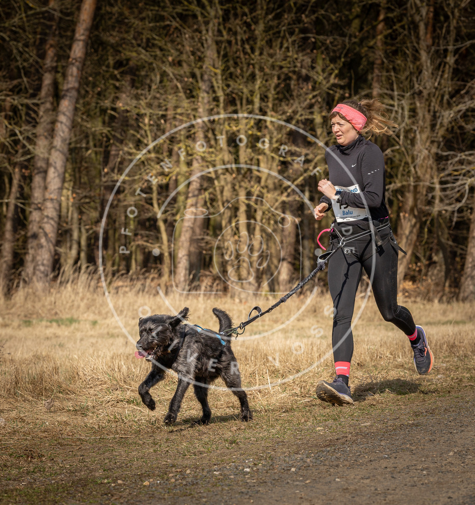 DV3A5866 | Hundefotografie, Tierfotograf, Pfotenfotografie, Fotoshooting Hund, Hunde Portrait, Hundesport, Hundeportraits, Heideshooting, Hunde, Sportfotograf, Hundefotograf, Turnierhundsport, THS,  - Realisiert mit Pictrs.com