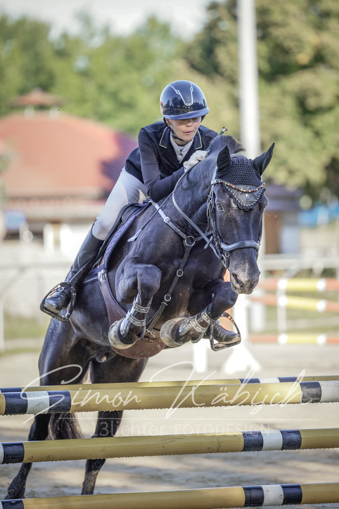 20250906-_3LI2987 | Tierfotografie Pferde, Hunde, Katzen, Haustiere.
Turnierfotografie Reitturniere, Reiten, Springreiten, Dressur in Hanau, dem Main-Kinzig-Kreis und dem Rhein-Main- Gebiet um Frankfurt