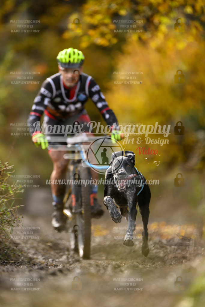 MompixPhotography_ICF_WC_2024_SA_Bike_-289 | PayLife