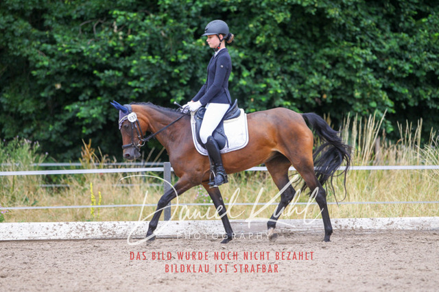 DKP47150 | Turniersportfotografie; Pferdefotografie; Dressurfotografie