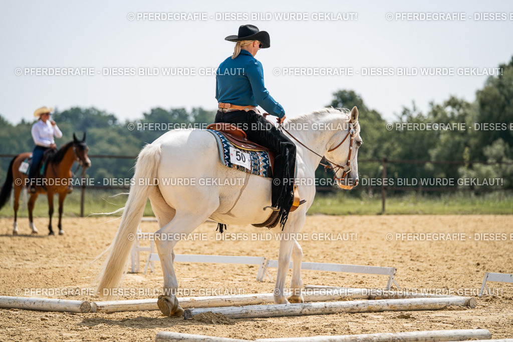 DSC00132 | Pferdegrafie