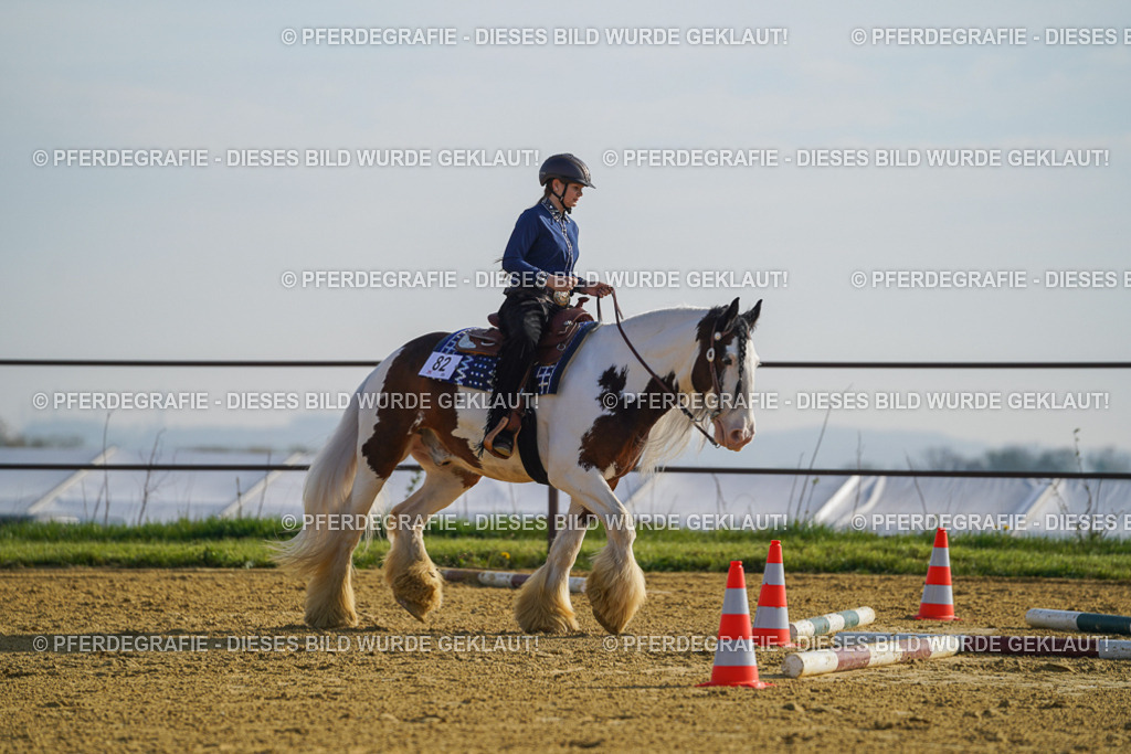 DSC00918 | Pferdegrafie