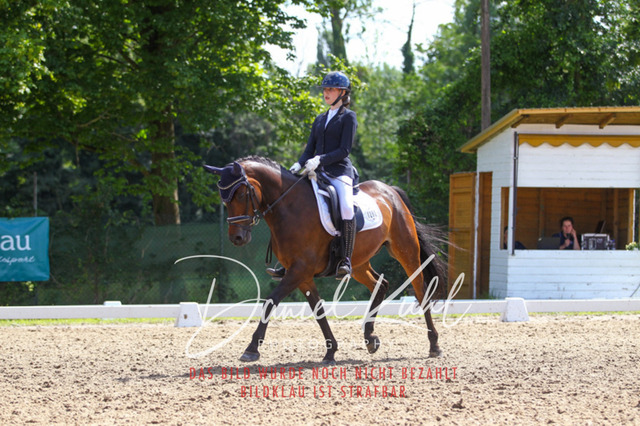 DKP42679 | Turniersportfotografie; Pferdefotografie; Dressurfotografie