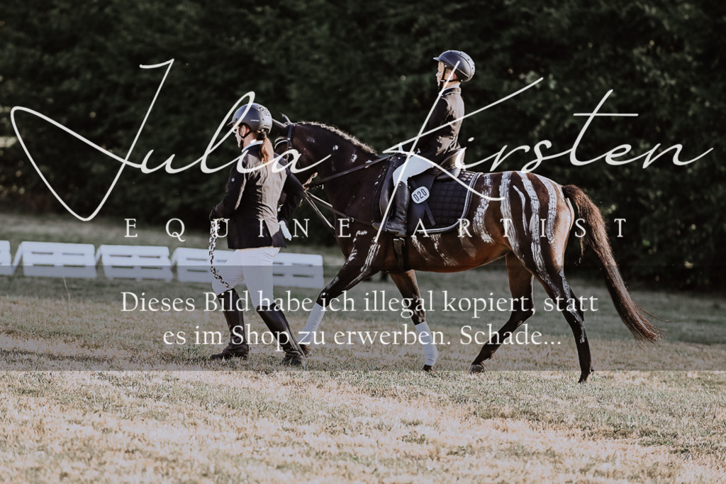 DSC_0210 | Pferde- und Turnierfotografie in Westsachsen. Pferdeportraits, Auftragszeichnungen und intuitive Kunst.