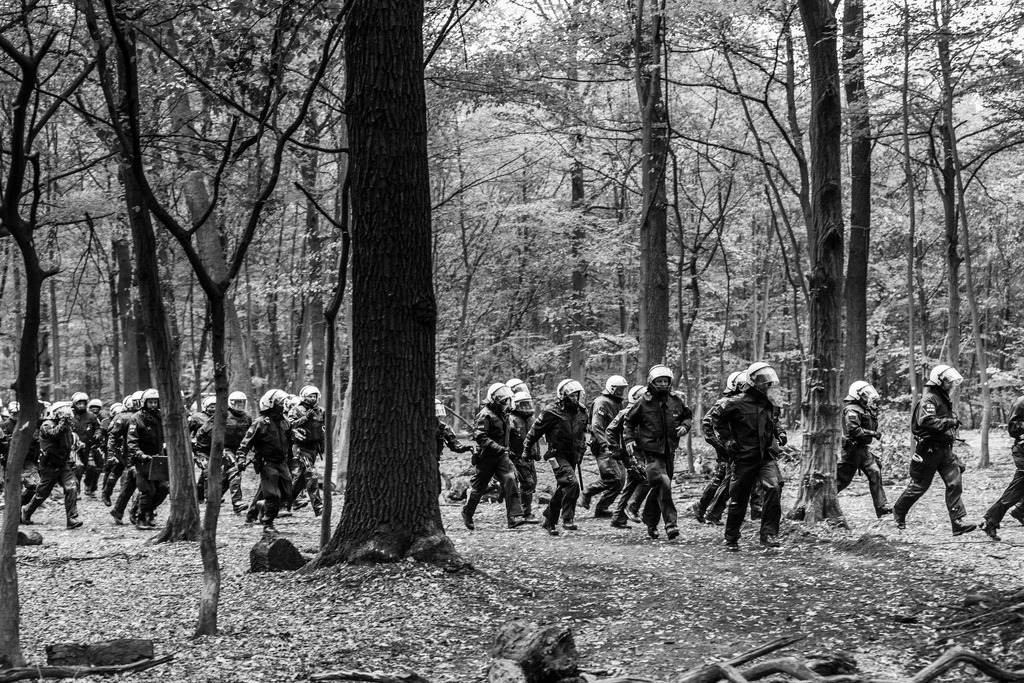 20181002_BL67686 | Hambi, Hambacher Forst 2018 - Realisiert mit Pictrs.com