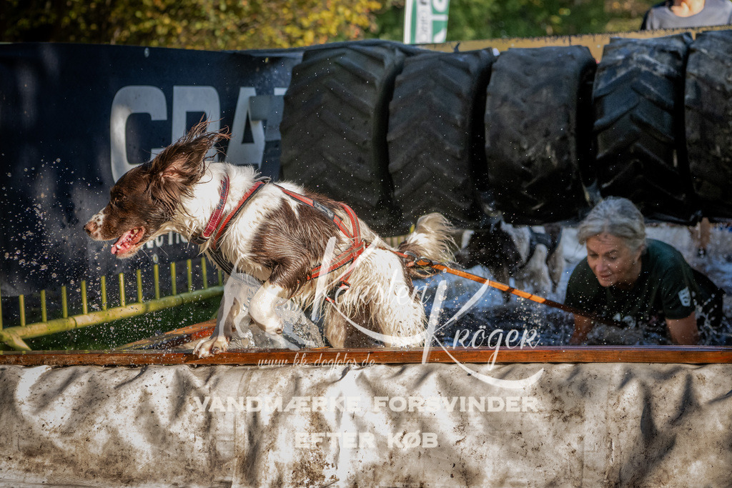 0941_ZZ91735 | kk-dogfotos