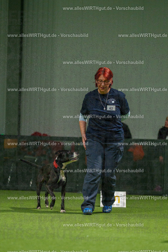 7R507370 | Professionelle Tierfotografie in Mönchengladbach von Daniel Wirth (allesWIRTHgut). Liebevolle & natürliche Bilder von Hunden & Katzen für unvergessliche Erinnerungen.