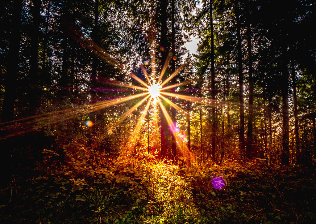 MPI_Sunset_0008 | Sonnenuntergang im Wald bei der Fuchslochhütte bei Nesselried - Realisiert mit Pictrs.com