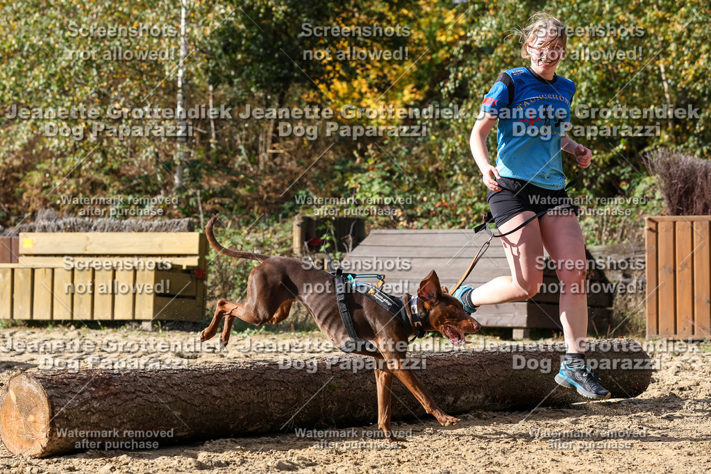 Dog Paparazzi - Strongdog 10-25-5402 | Dog Paparazzi Jeanette Grottendiek Fotografie & Videografie - Realisiert mit Pictrs.com