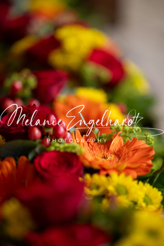 7I8A5770 | melanie-engelhardt-photography - Realisiert mit Pictrs.com