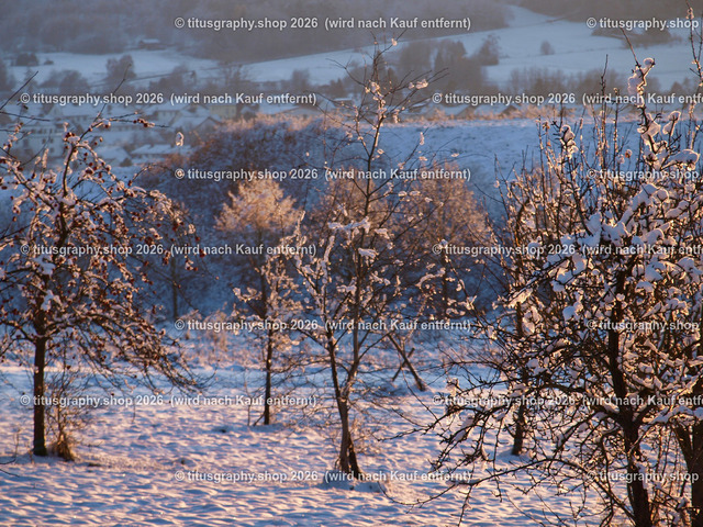 phototitusgraphy Winterimpressionen-Edition 001 | Fotokunstarbeit aus der INSTAGRAM-Gallerie auf titusgraphy.eu - Realisiert mit Pictrs.com