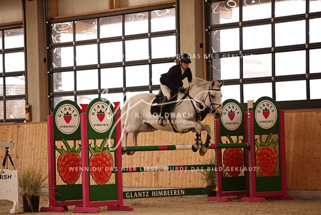 1J2A3112Johanna Dobner_ Caramella 20_ Kn066_ Hohen Wieschendorf_ Glantz | Foto- und Videografie für alles rund ums Pferd. Hochwertige Bilder und Videos vom Spring- und Dressurreiten, Voltigieren & mehr. Jetzt aktuelle Veranstaltungen und Preise im Shop ansehen. - Realisiert mit Pictrs.com