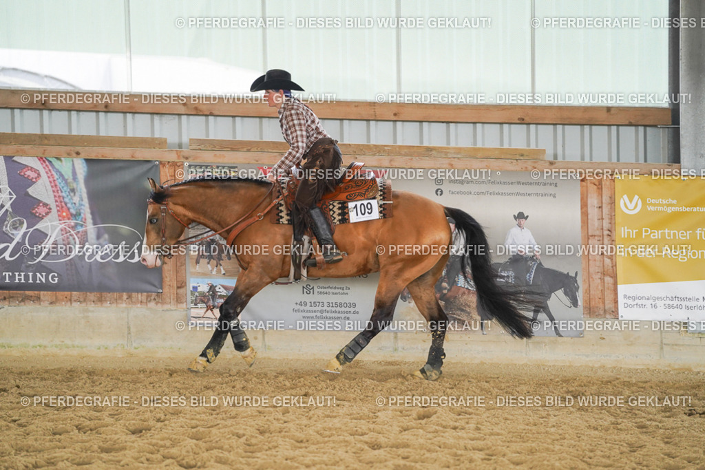 DSC05633 | Pferdegrafie