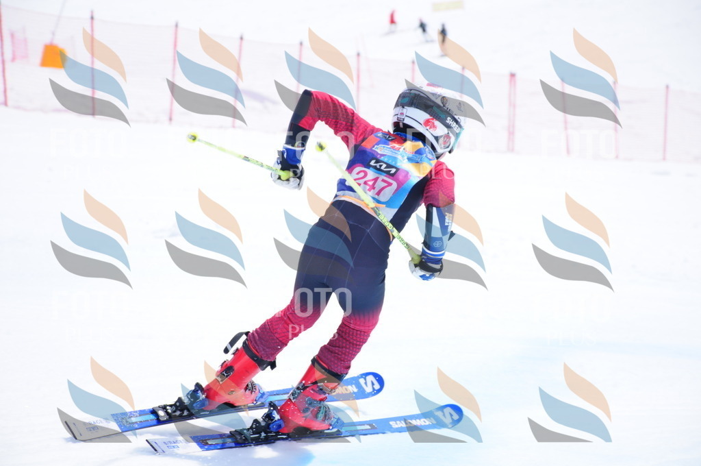 DSC_6204 | holidayphoto