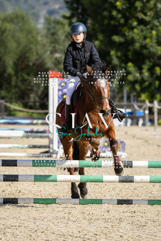 IMG_6003 | s-jay-photography - Realisiert mit Pictrs.com