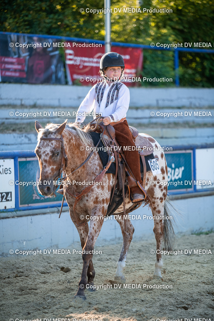 EWP_7243 | dv-media-shop - Realisiert mit Pictrs.com