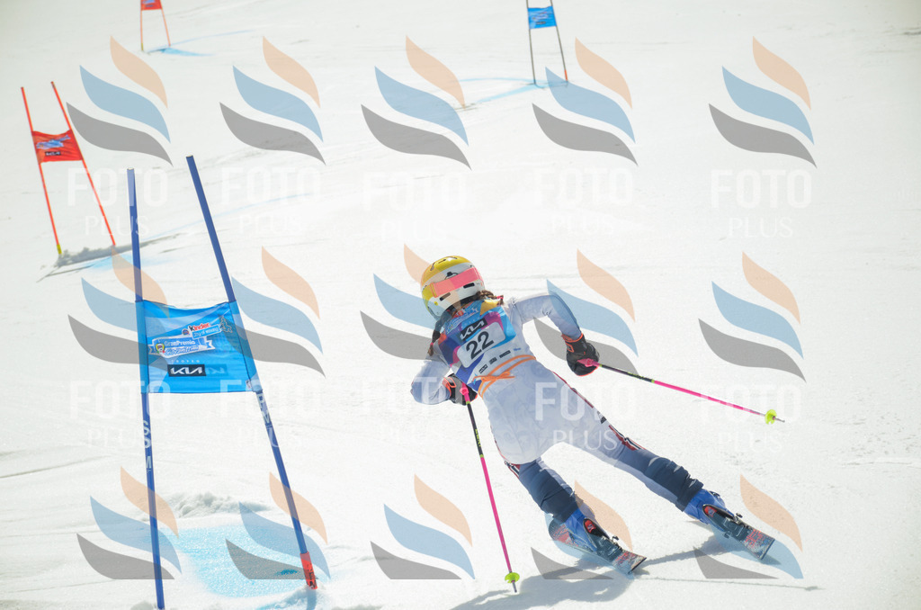 _ELE4765 | holidayphoto