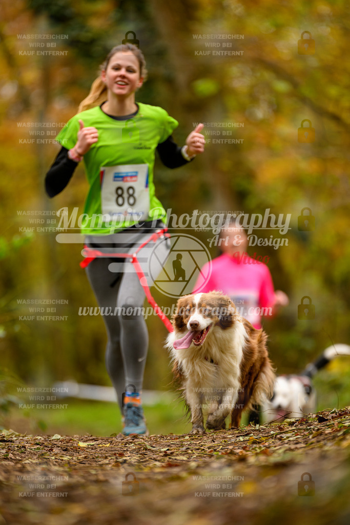 MompixPhotography_Bischwiller24_SA_Canicross-165 | PayLife