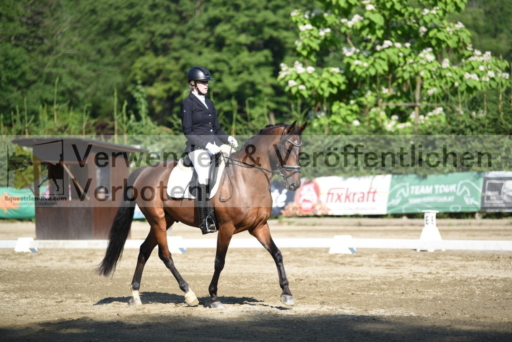 DSC_7130 | equestrian-live-com