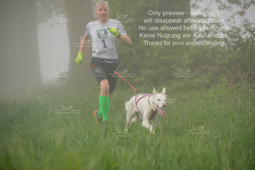 SA_GL2-5 | stephaniefillaphotographie - Realisiert mit Pictrs.com