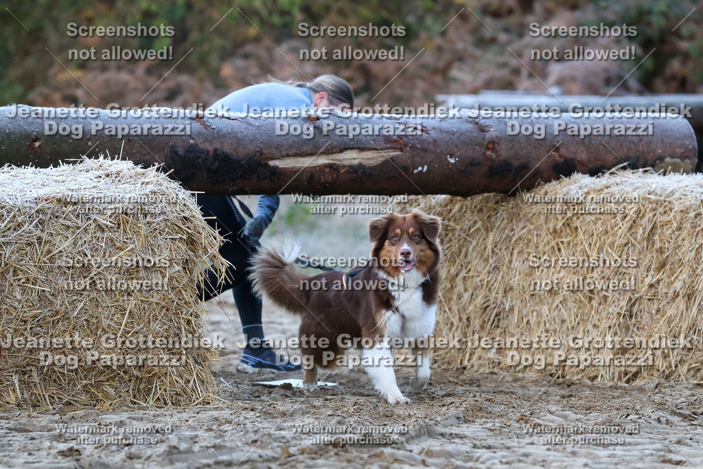 Dog Paparazzi - Strongdog 10-25-119 | Dog Paparazzi Jeanette Grottendiek Fotografie & Videografie - Realisiert mit Pictrs.com