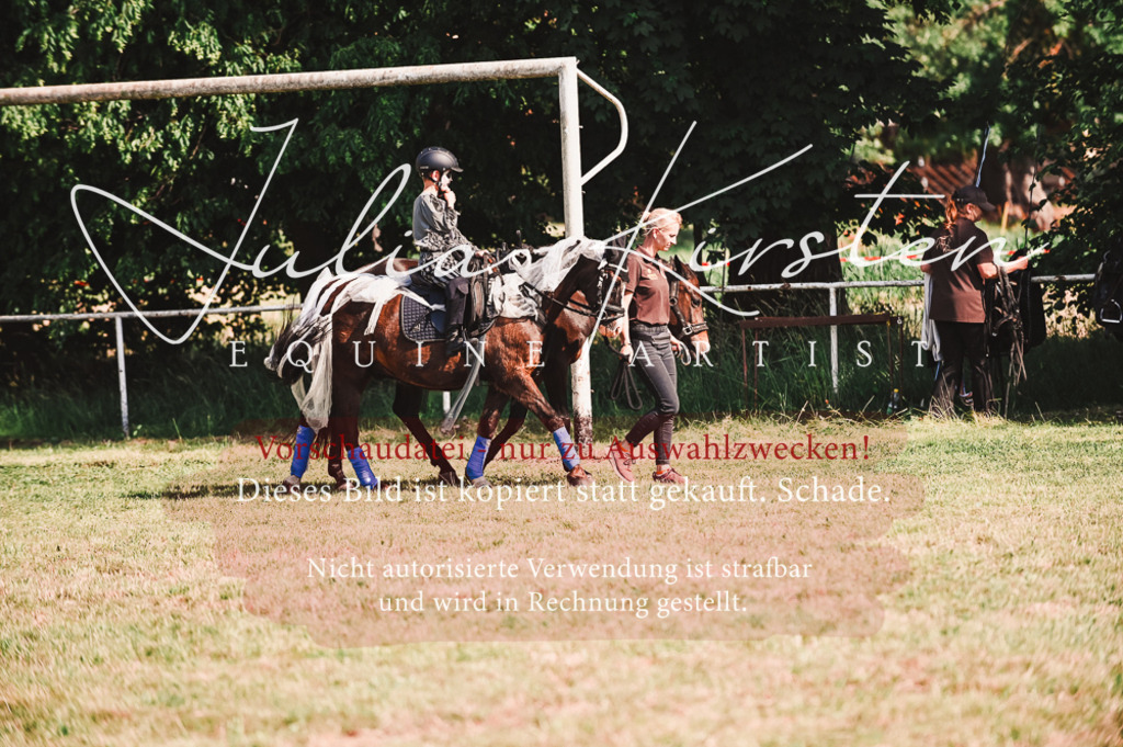 DSC_7328 | Pferde- und Turnierfotografie in Westsachsen. Pferdeportraits, Auftragszeichnungen und intuitive Kunst.