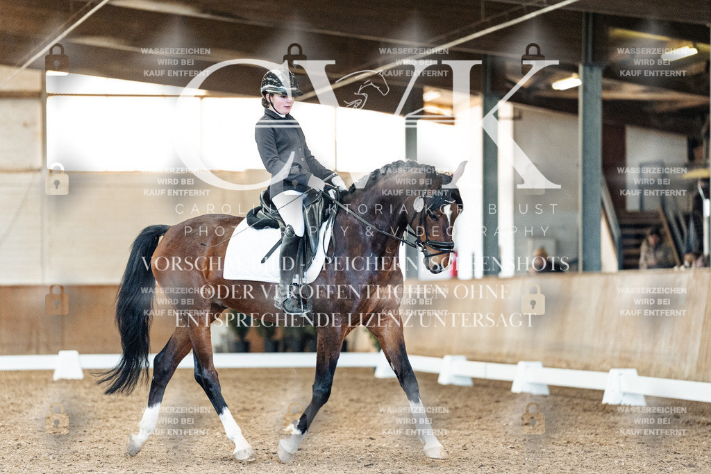 CK909824 | Turnierfotografie Pferdefotografie Trier Rheinland-Pfalz Pferdesport Reitsport Tierfotografie Sportfotografie Pferdevideo Pferdevideografie Equestrianvideography equestrianphotography  - Realisiert mit Pictrs.com