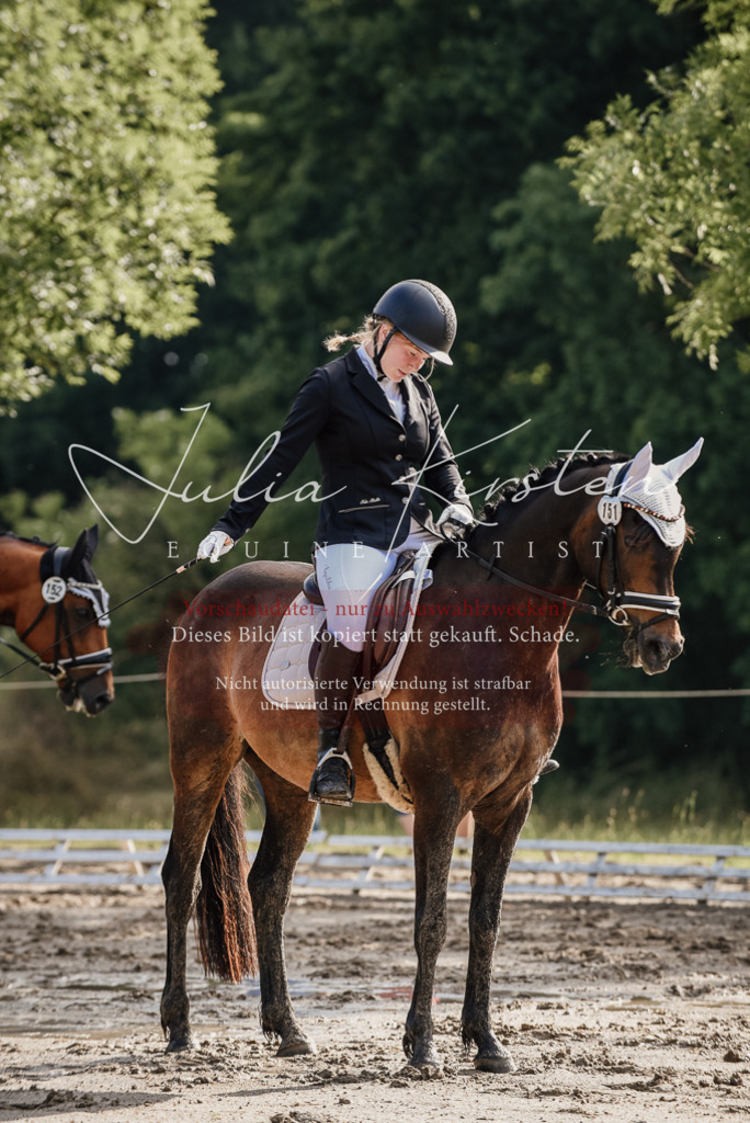 DSC_8252 | Pferde- und Turnierfotografie in Westsachsen. Pferdeportraits, Auftragszeichnungen und intuitive Kunst.