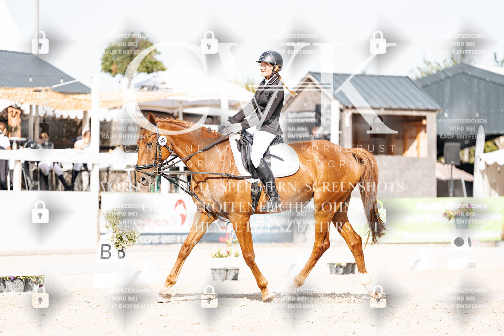 CK905528 | Turnierfotografie Pferdefotografie Trier Rheinland-Pfalz Pferdesport Reitsport Tierfotografie Sportfotografie Pferdevideo Pferdevideografie Equestrianvideography equestrianphotography  - Realisiert mit Pictrs.com