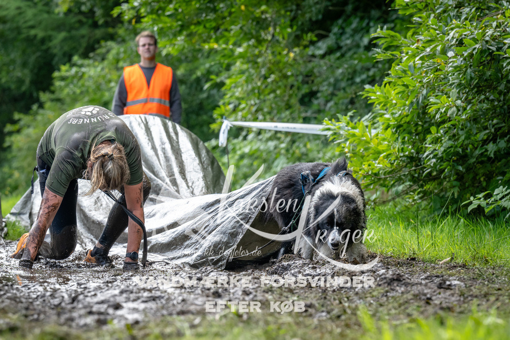 1101_ZZ93364 | kk-dogfotos