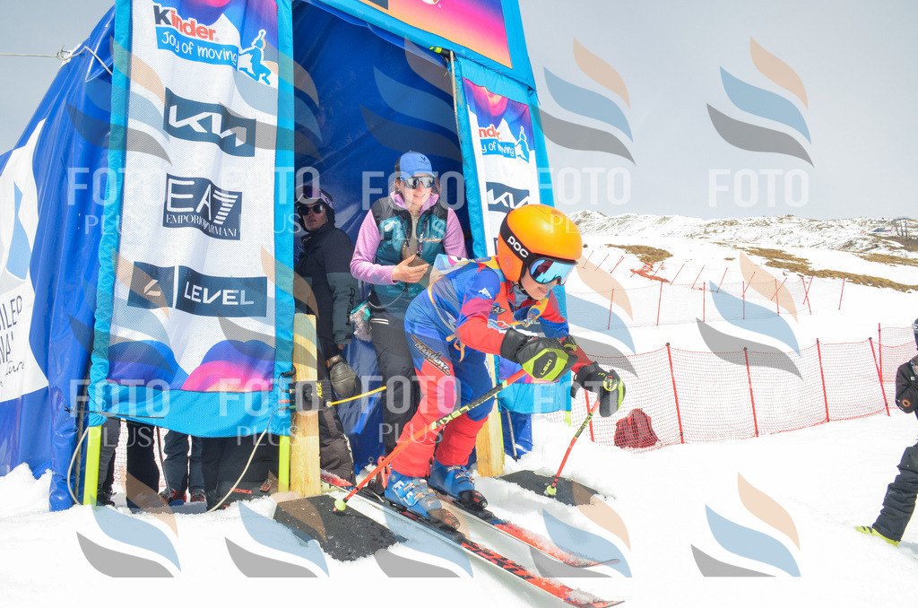 _ELE8147 | holidayphoto