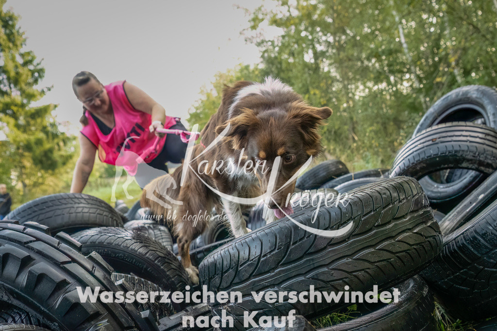 1034_ZZ94854-Bearbeitet | kk-dogfotos