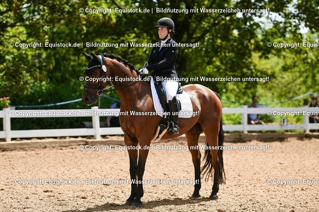 20230716_03_Dressurprfg. Kl.L - Tr._0078 | equistock