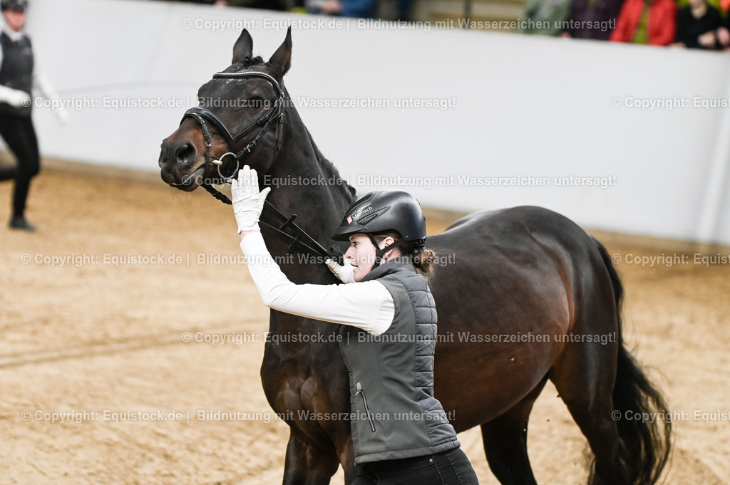 20260307_Hengstvorstellung-Marbach_0072 | equistock