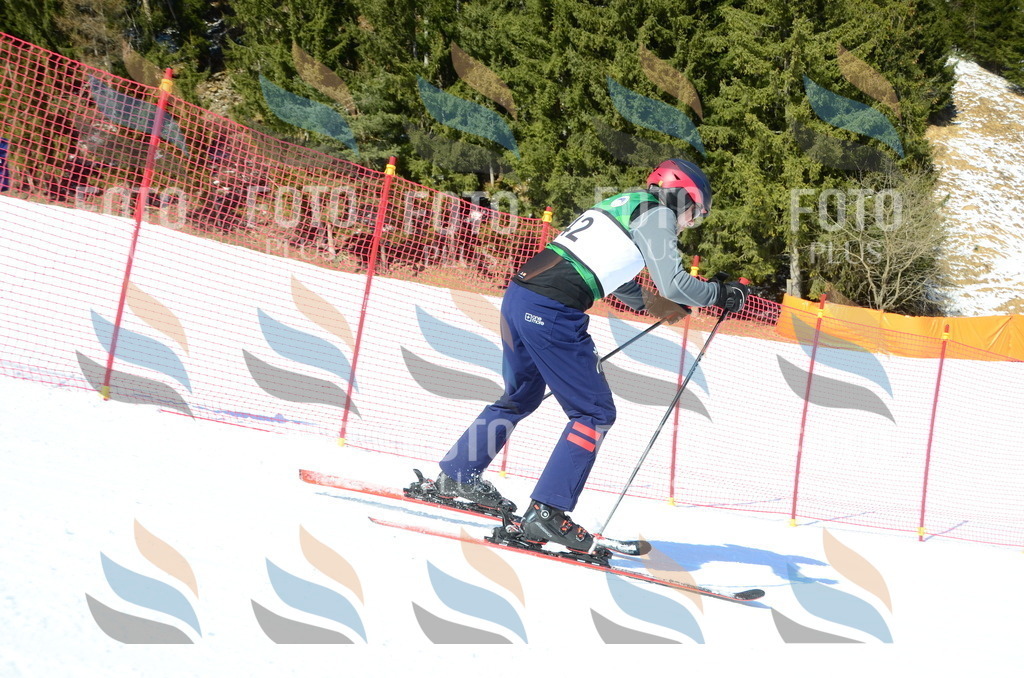 C6536 | holidayphoto