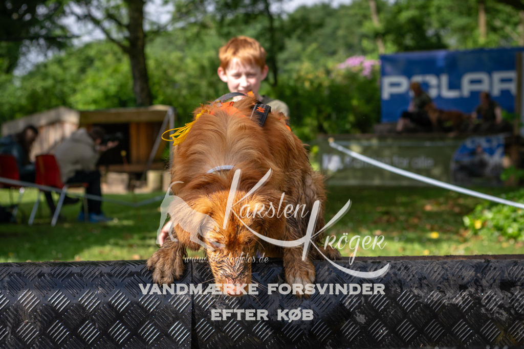 0906_ZZ93522 | kk-dogfotos