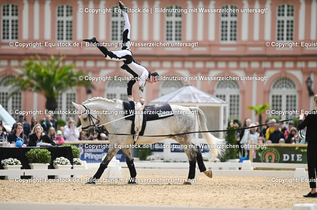 20250608_CVI-Masterclass_0264 | Foto: Thomas Hartig