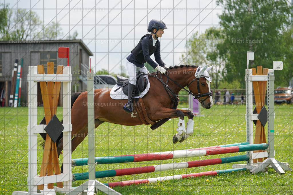 20240509-FAH02474 | Turnierbilder der Turnierfotografen Bayern, Pferdesport Fotografie, Reitsportbilder, Turnier Landberg am Lech, Turnierbilder bayern, Fotoagentur Herrmann