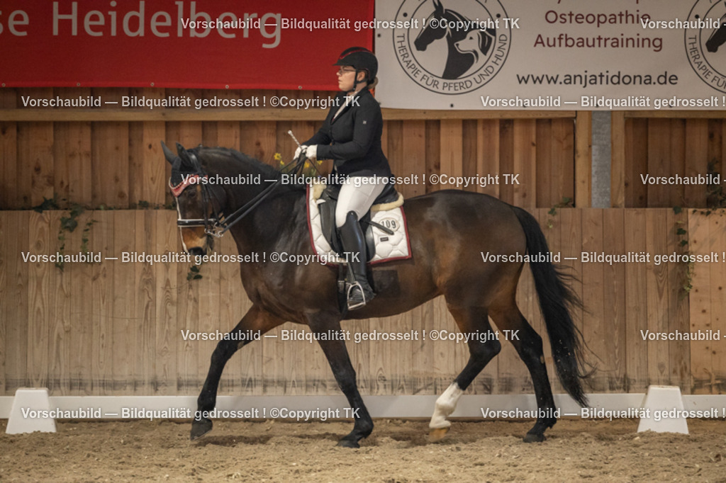 _D5A6698 | Emotionale Pferde- & People-Fotografie rund um Heidelberg, Leimen & Umgebung. Natürliche Fotos von Pferd, Mensch & Familie. Jetzt Termin sichern!