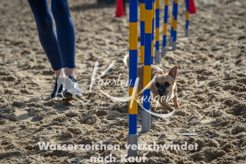 1103_ZZ90134 | kk-dogfotos