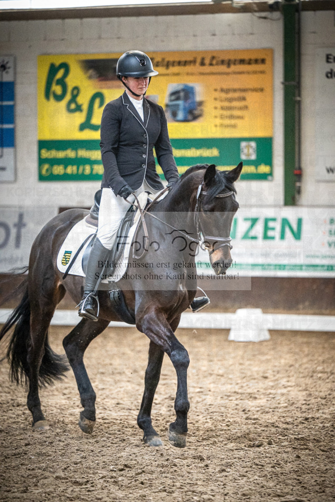 DOS_0565 | Entdecke hochwertige Reitturnierfotos von Foto Oger. Professionell, emotional und authentisch – jetzt Lieblingsmomente im Shop bestellen.Deutschlandweite Turnierfotografie. - Realisiert mit Pictrs.com
