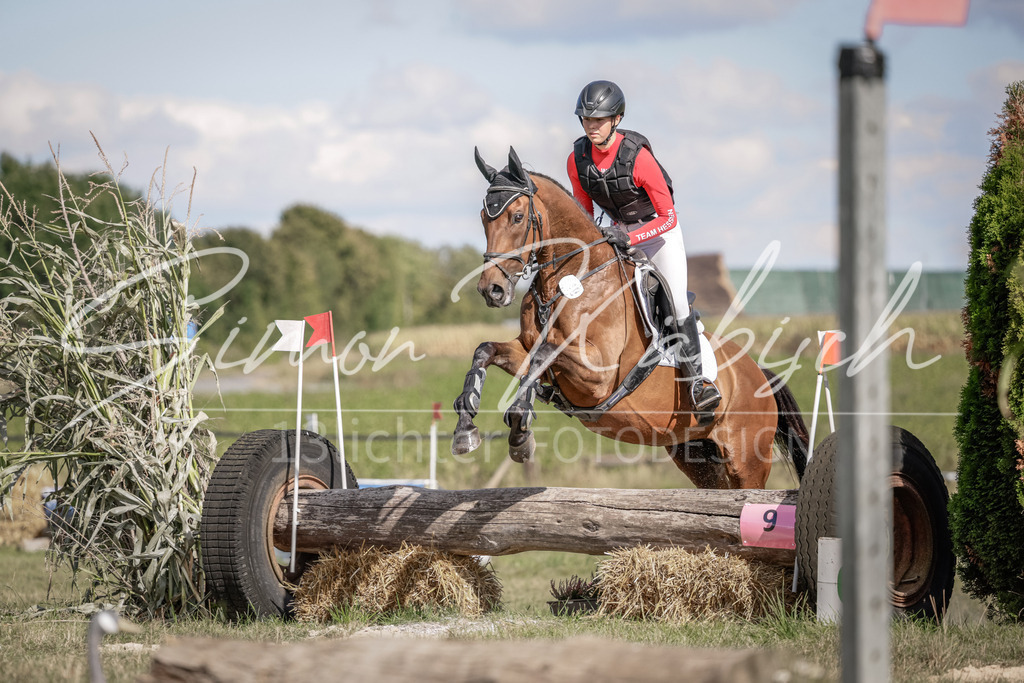 20250906-_3LI6771 | Tierfotografie Pferde, Hunde, Katzen, Haustiere.
Turnierfotografie Reitturniere, Reiten, Springreiten, Dressur in Hanau, dem Main-Kinzig-Kreis und dem Rhein-Main- Gebiet um Frankfurt