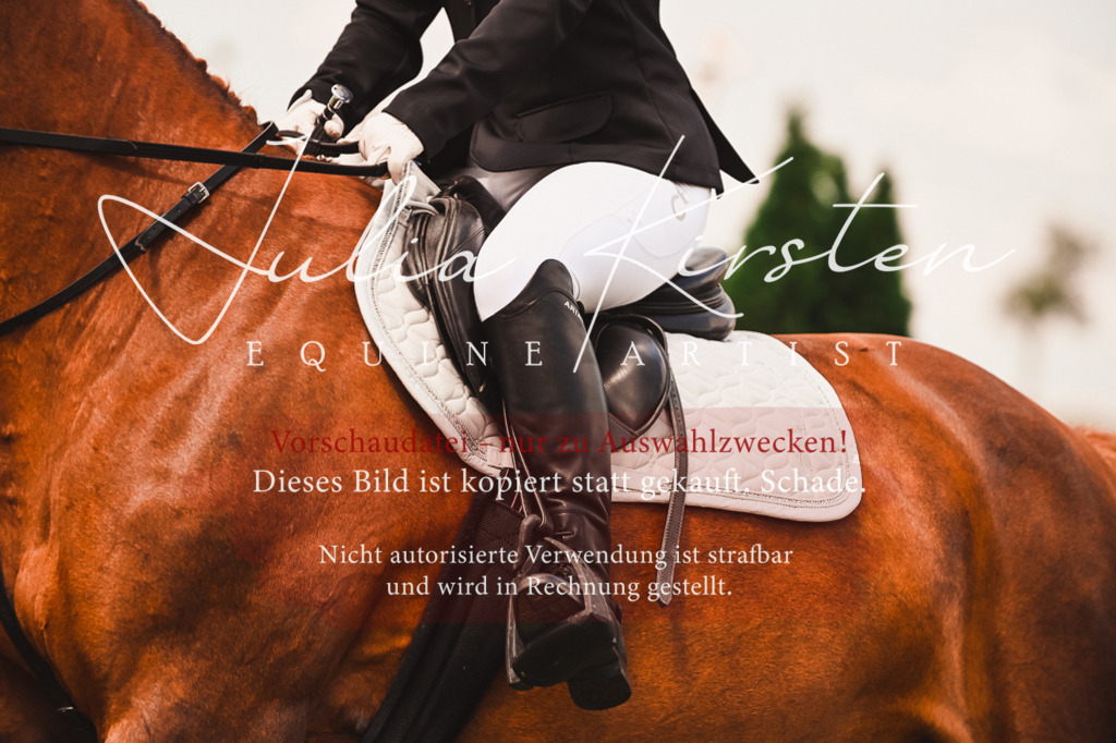 DSC_6878 | Pferde- und Turnierfotografie in Westsachsen. Pferdeportraits, Auftragszeichnungen und intuitive Kunst.