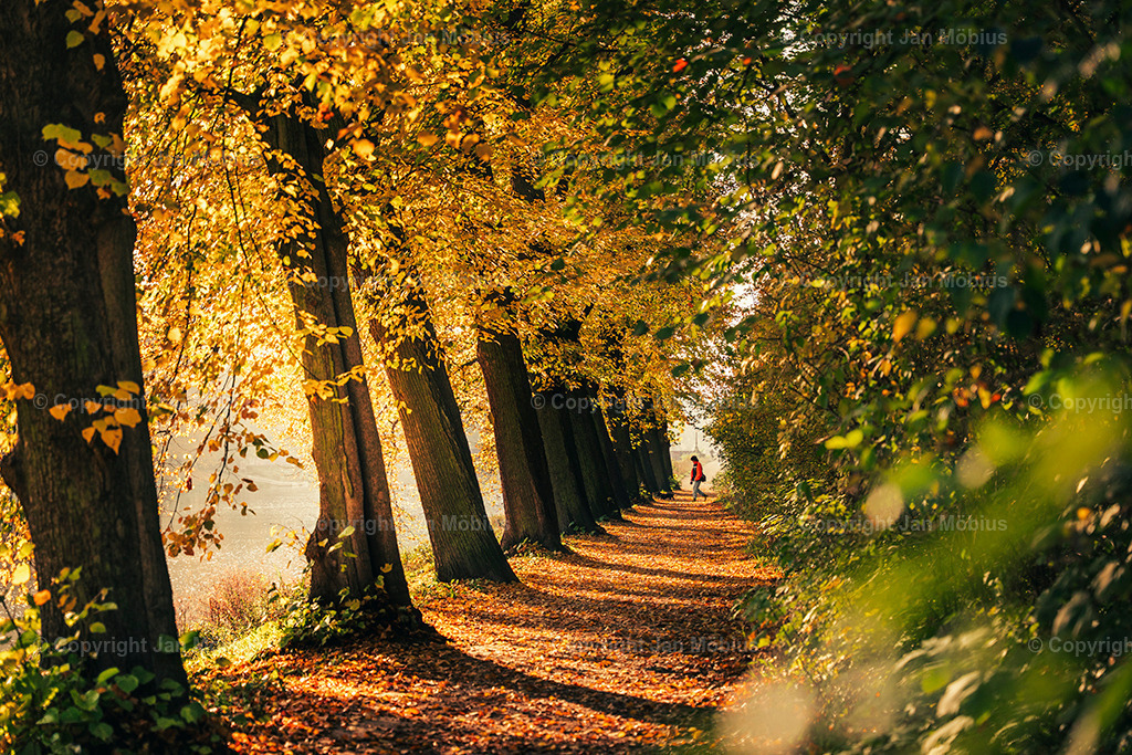 _DSC7124 | Leipzig Wandbilder Drucke Prints Leinwand Stadtmotive Leipzig Fotosdruck Kunstdrucke Bilder Leipzig Stadtansichten Acrylglasbilder Leipzig Wanddeko Fine Art Prints Wandbilder Büro Leipzig Bilder Praxis Zuhause Bilderdruck Poster Posterlounge Kunstdrucke - Realisiert mit Pictrs.com
