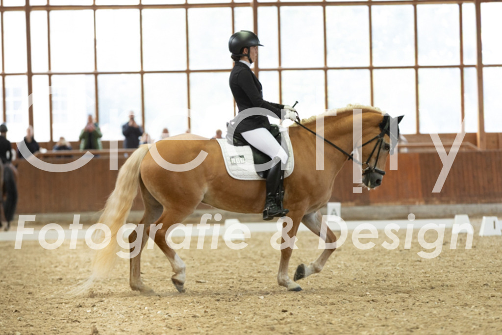 IMG_5860 | Creatify Fotografie