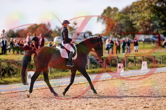 2026_10_03_Siefer-Hof_133824_Z81_95921733 | Professionelle Reitsport-, Turnier- und Eventfotografie von Robert Broda. Galerien mit ausgewählten und bearbeiteten Bildern direkt online ansehen und bestellen.