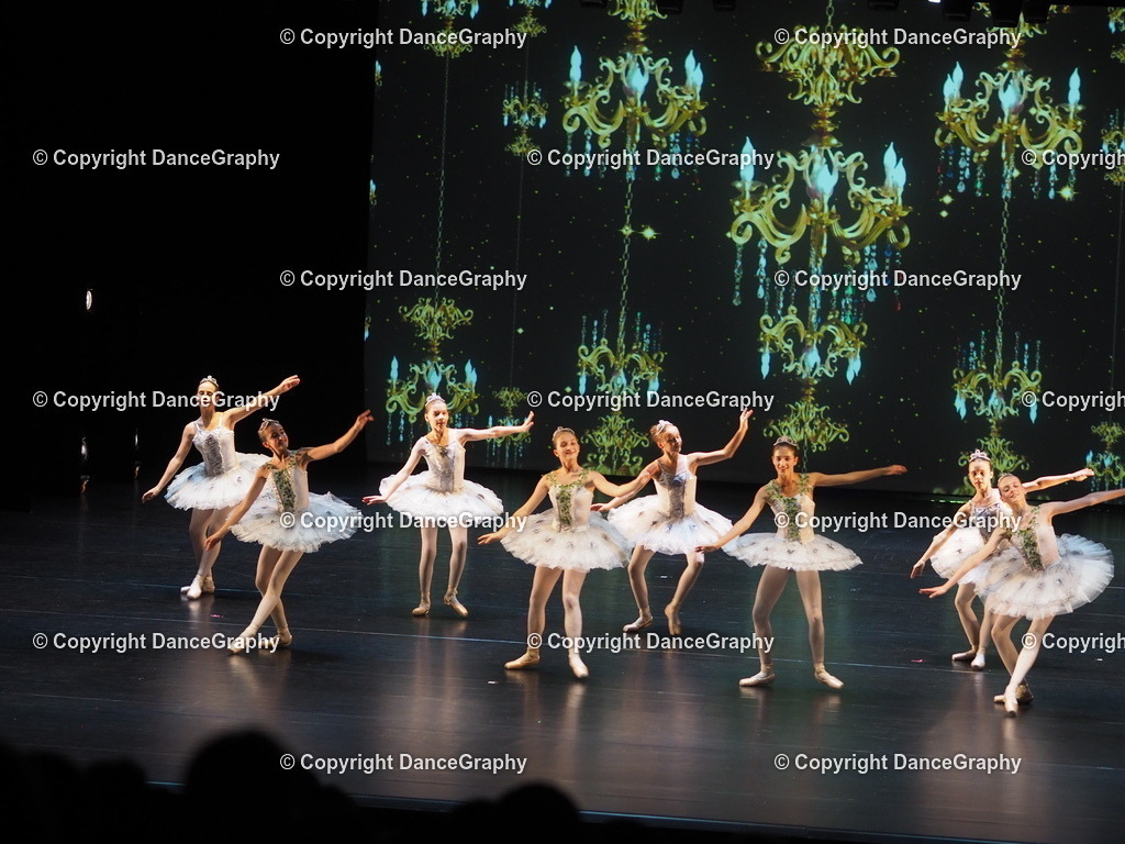 P7260446 | DanceGraphy - Realisiert mit Pictrs.com