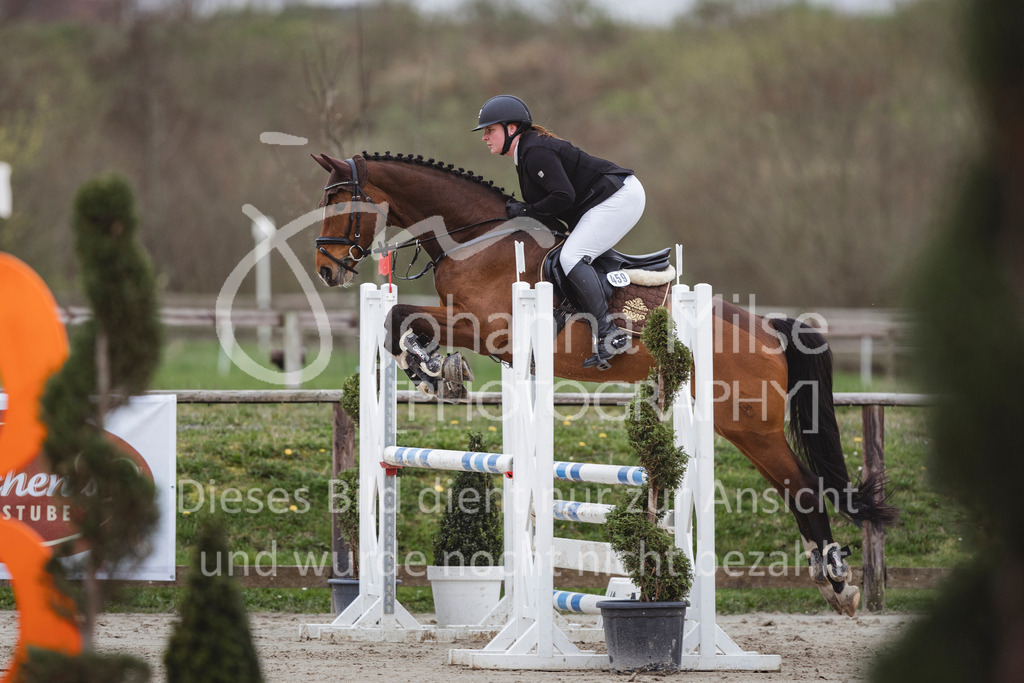 240330_Fruehlingsfest_Stil-A2-2-747 | Deine schönsten Turniermomente als professionelle Fotos! Entdecke hochwertige Pferdesport-Fotografie im Online-Shop. Jetzt Fotos finden & bestellen!